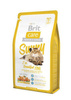 Brit Care Cat Sunny Beautiful Hair łosoś i ryż 2kg