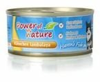 Power of Nature Jambalaya kurczak karma dla kotów w puszce 100g