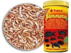 Tropical Gammarus suszony kiełż dla żółwi i ryb 1000ml