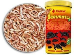 Tropical Gammarus suszony kiełż dla żółwi i ryb 500ml