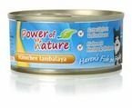 Power of Nature Jambalaya kurczak karma dla kotów w puszce 12x100g