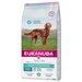 Eukanuba Daily Care Sensitive Digestion 12kg