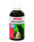 Beaphar Lebensvitamine preparat witaminowy dla młodych gryzoni 50ml