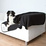 Trixie gruby koc Doggy czarny (37173) 150x100cm 