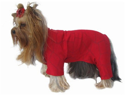 Grande Finale ubranko koszulka na papiloty czerwona 2