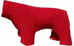 Grande Finale ubranko koszulka na papiloty czerwona 2