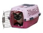 Petmate Kennel Cab Transporter plastikowy mały 48cm