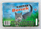 Certech Super Benek Kocia trawka szybkorosnąca Duet 150g