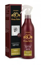 Dermapharm Champ-Richer volume up spray zwiększający objętość 250ml