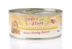 Power of Nature kurczak dynia cukinia karma dla kotów puszka 12x70g