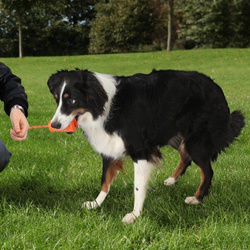Trixie Fun-Mot 9cm