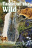 Taste of the Wild Rocky Mountain Feline z dziczyzną i łososiem 2kg