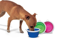 Petmate Składana miska podróżna silikonowa mała 250ml