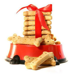 Wyprawka dla dużego psa