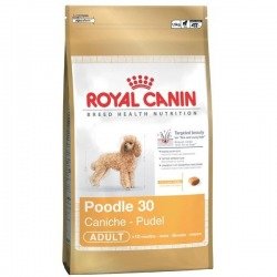 Royal Canin Poodle 1,5kg