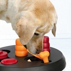 Trixie Dog Activity Flip Board zabawka dla psa 23cm