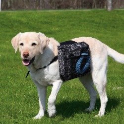 Trixie Plecak dla psa rozmiar M (30102)