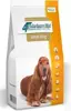 4T Vetexpert Veterinary Diet Dog Renal 14kg